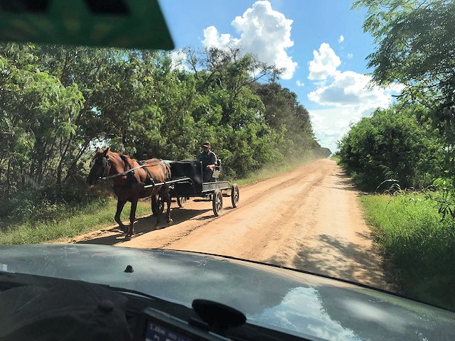 Maronite Transportation.