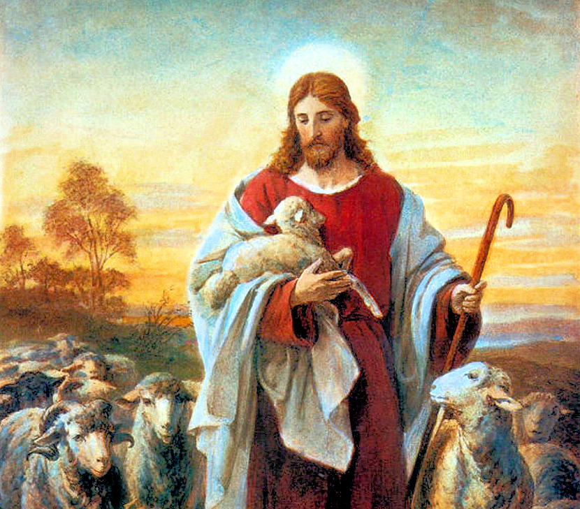 The Good Shepherd - Fr. Hugh Duffy's Blog